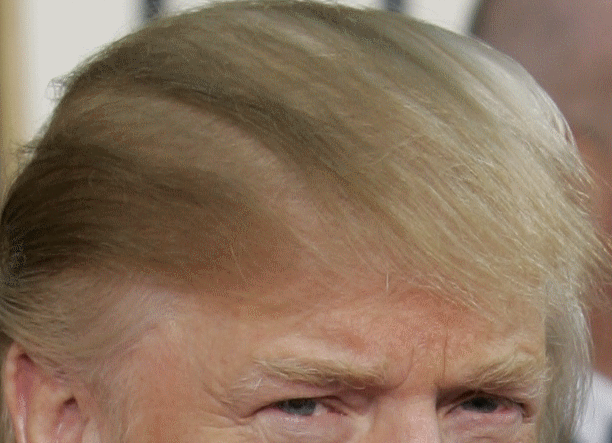 donald trump hairstyle. Sorry, no related posts.
